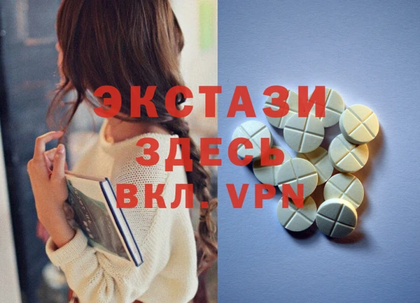 дживик Тында