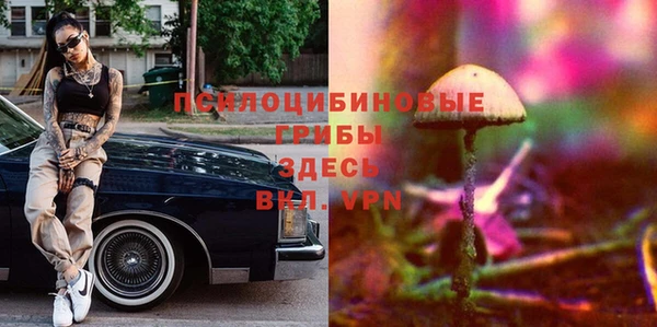 СК Нефтегорск