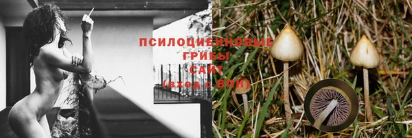 сатива Нея