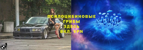 сатива Нея
