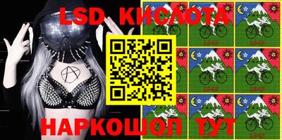 стаф Берёзовский