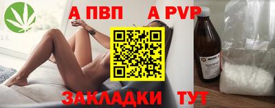 стаф Берёзовский