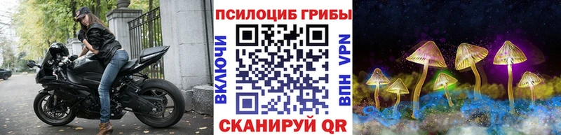 Галлюциногенные грибы Psilocybe Энгельс