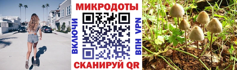Галлюциногенные грибы MAGIC MUSHROOMS  Энгельс 