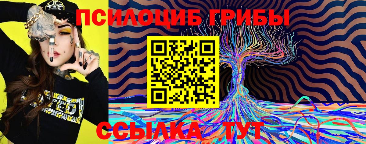 Псилоцибиновые грибы Psilocybe Энгельс