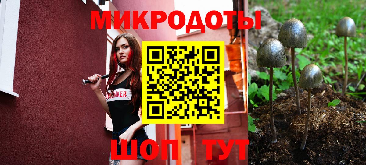 Энгельс  Галлюциногенные грибы Psilocybe  Вход с VPN 